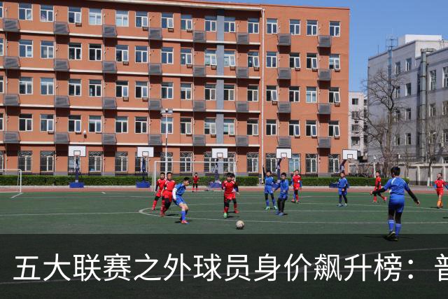 五大联赛之外球员身价飙升榜：普雷斯蒂安尼与谢尔德鲁普领跑